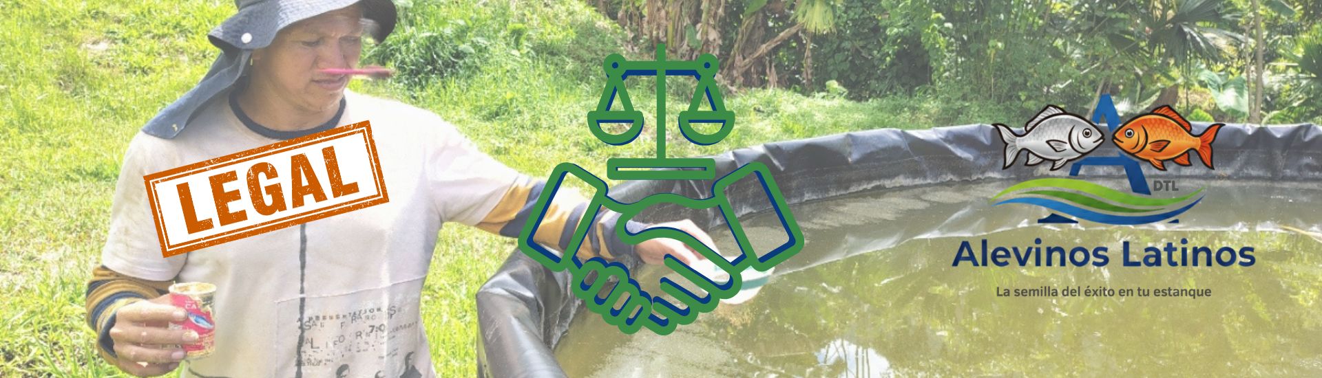 Aviso Legal Aviso legal de alevinos latinos en Lebrija, Santander