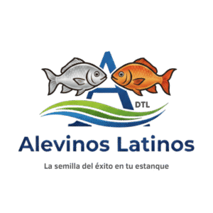 Logo Oficial de Alevinos Latinos