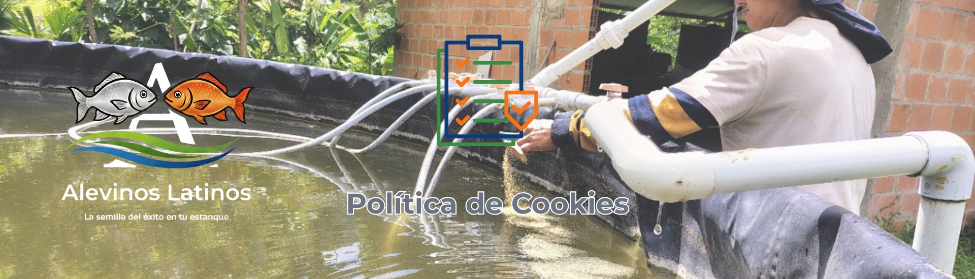 Política de Cookies Con la política de cookies de alevinos latinos navegas seguro