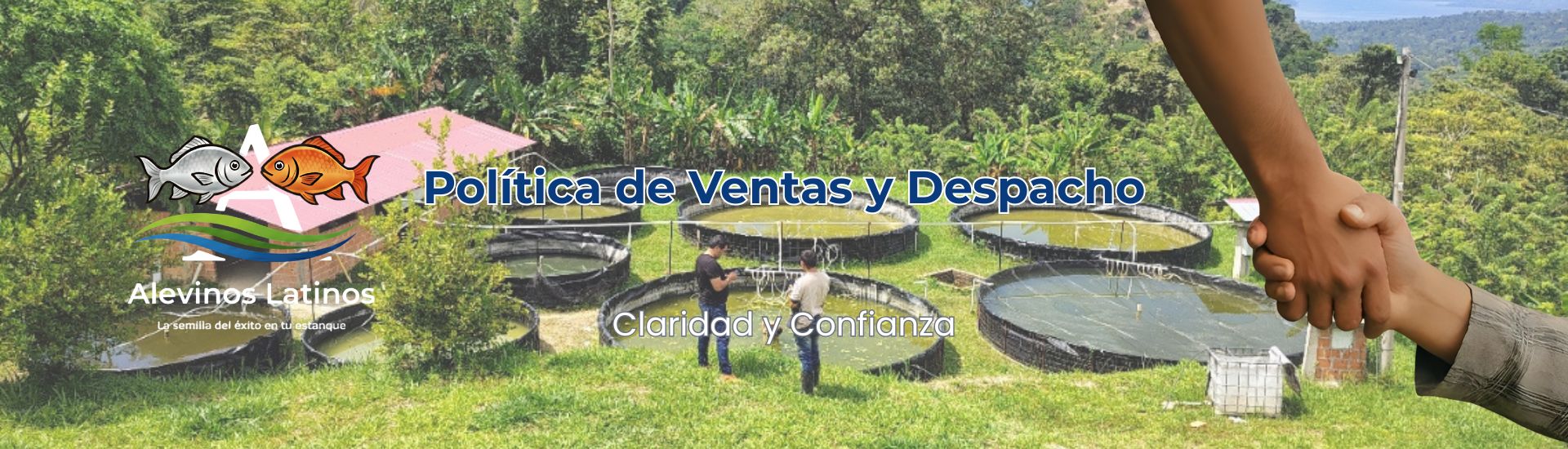 Política de venta de alevinos latinos