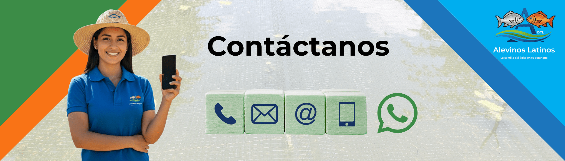 Consultas sobre venta de alevinos latinos en santander